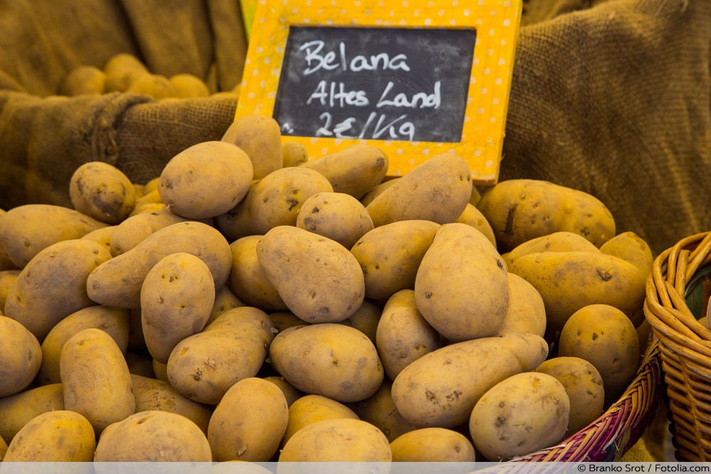 Kartoffelsorte 'Belana'
