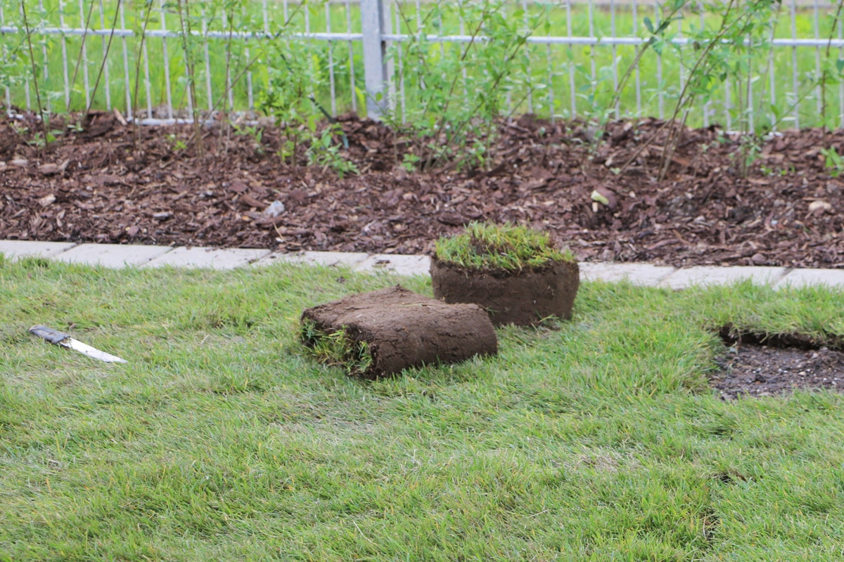 Rasenfläche ebnen - Stücke erneuern