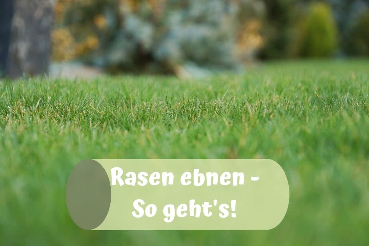 Rasenfläche ebnen: 4 Methoden zum Begradigen - Gartenlexikon.de