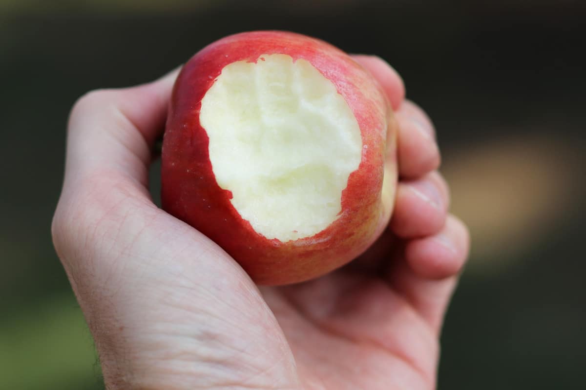 Angebissener Apfel in Hand