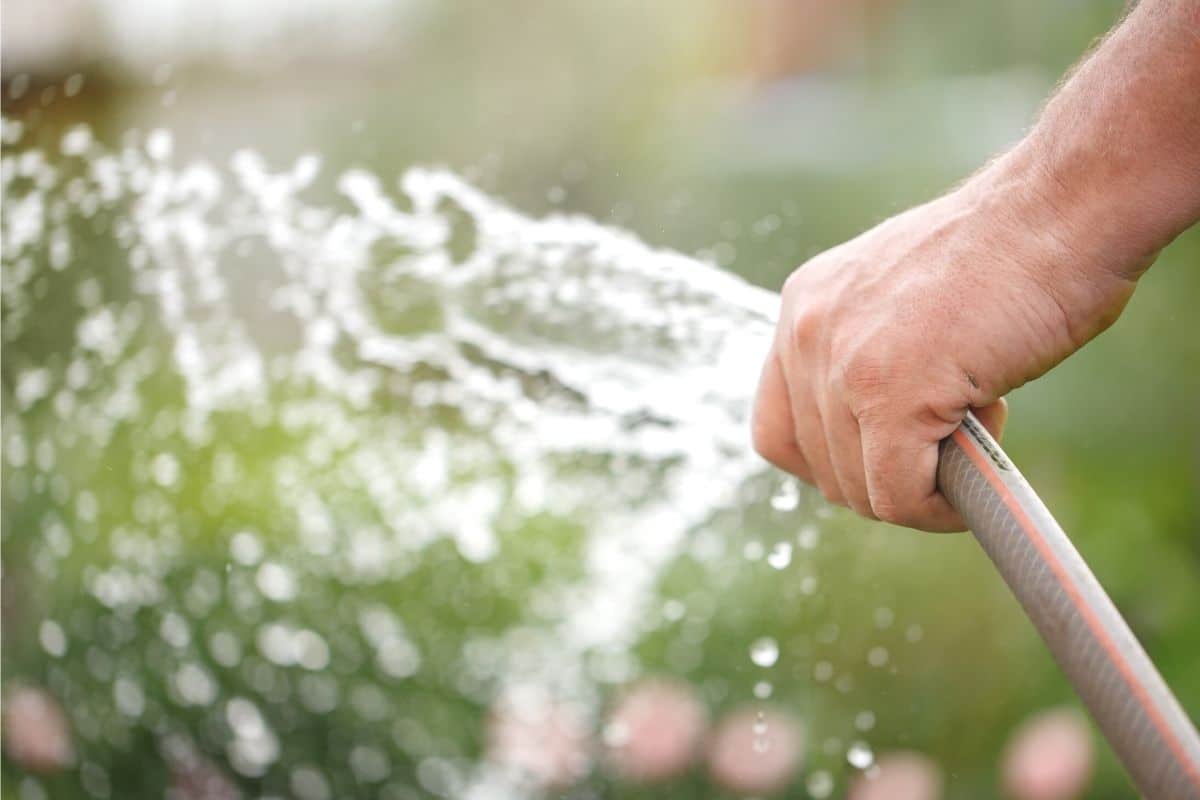 Poolwasser zur Gartenbewässerung - Gartenschlauch