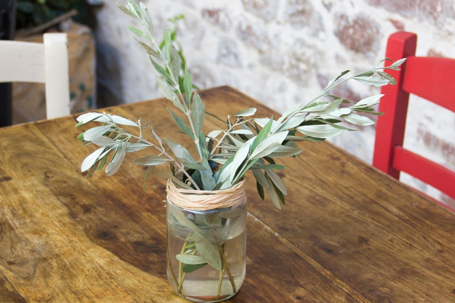 Olivenzweige in Vase auf Tisch