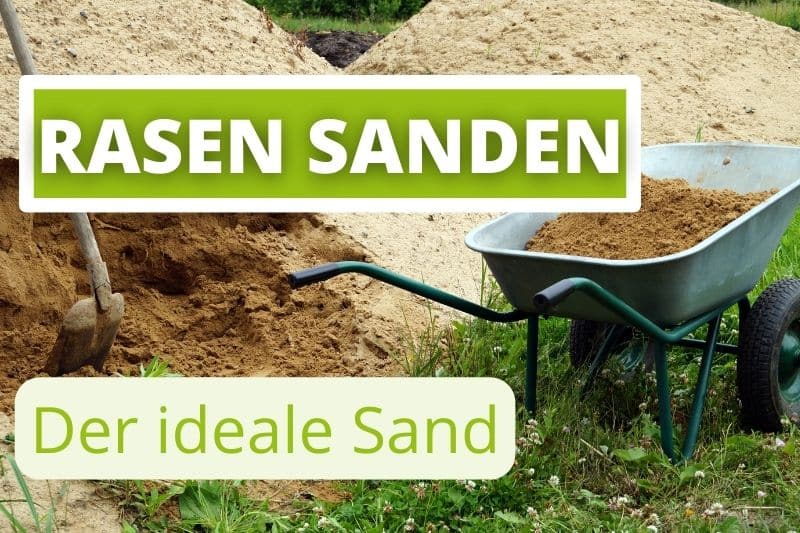 Rasen mit welchem Sand sanden