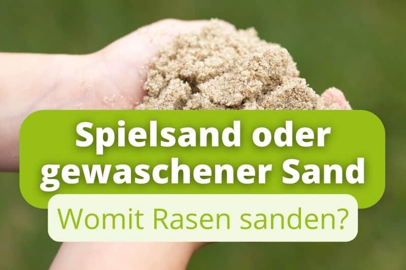 Spielsand oder gewaschener Sand zum Rasen sanden